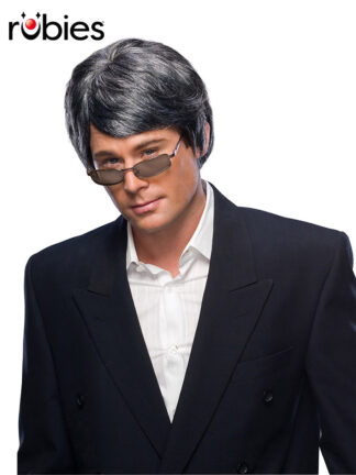 GREY MEN'S WIG  - ADULT