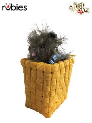TOTO IN A BASKET
