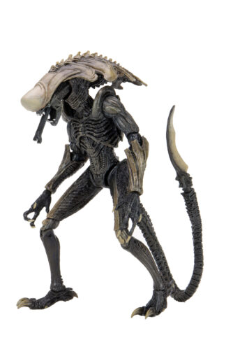 ALIEN VS PREDATOR - CHRYSALIS ALIEN 7" ACTION FIGURE