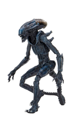 ALIENS ARACHNOID ALIEN VS PREDATOR 7" ACTION FIGURE