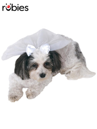 WEDDING VEIL PET