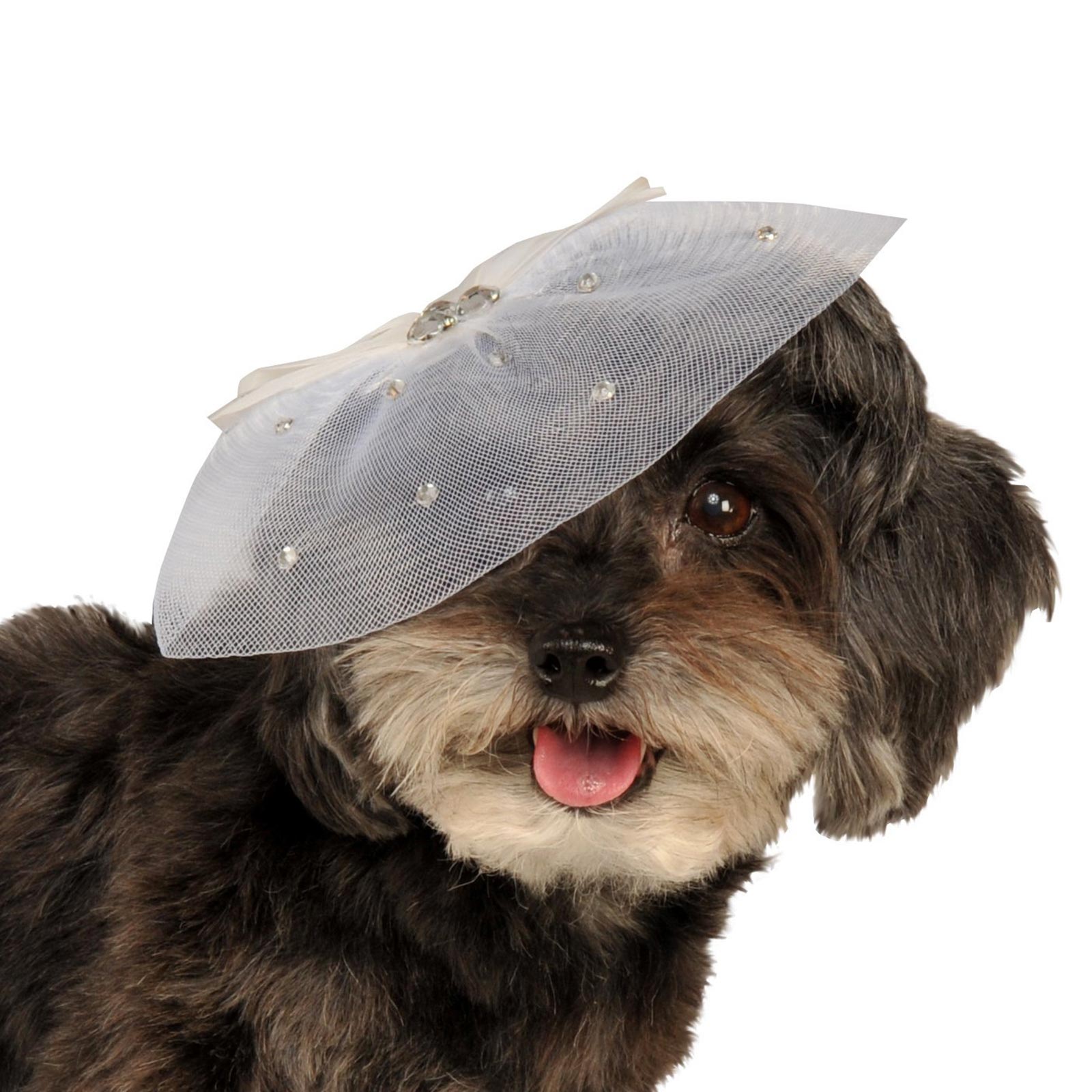 FANCY FORMAL HAT, PET - Image 2