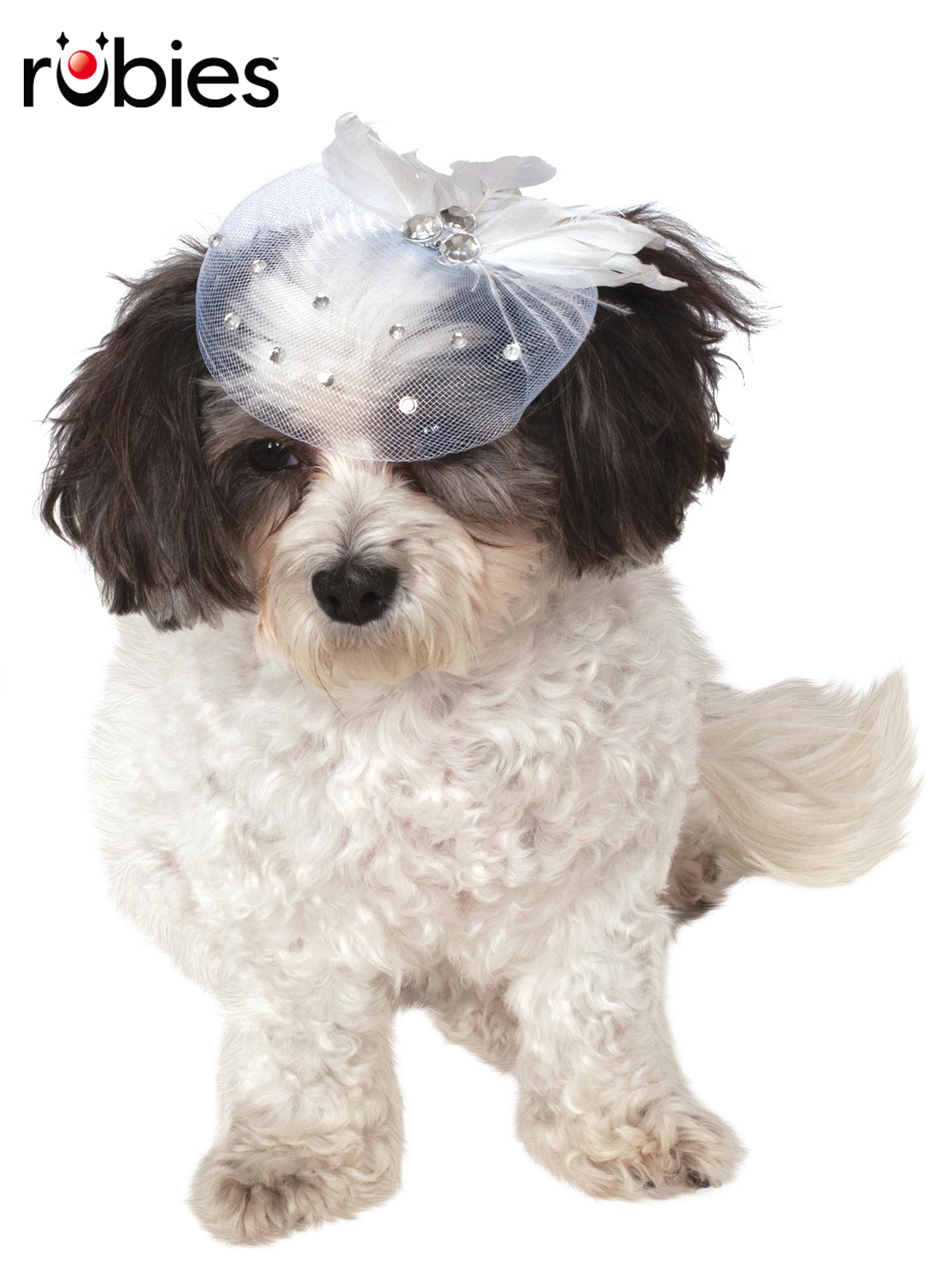FANCY FORMAL HAT, PET