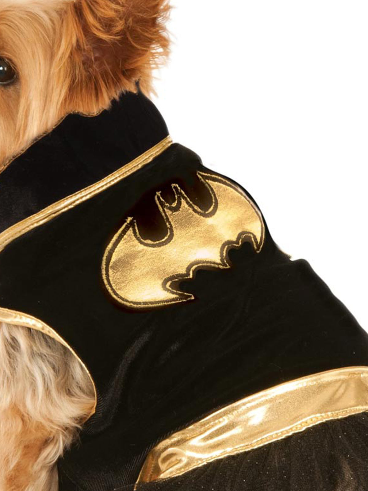 BATGIRL PET TUTU DRESS - Image 2