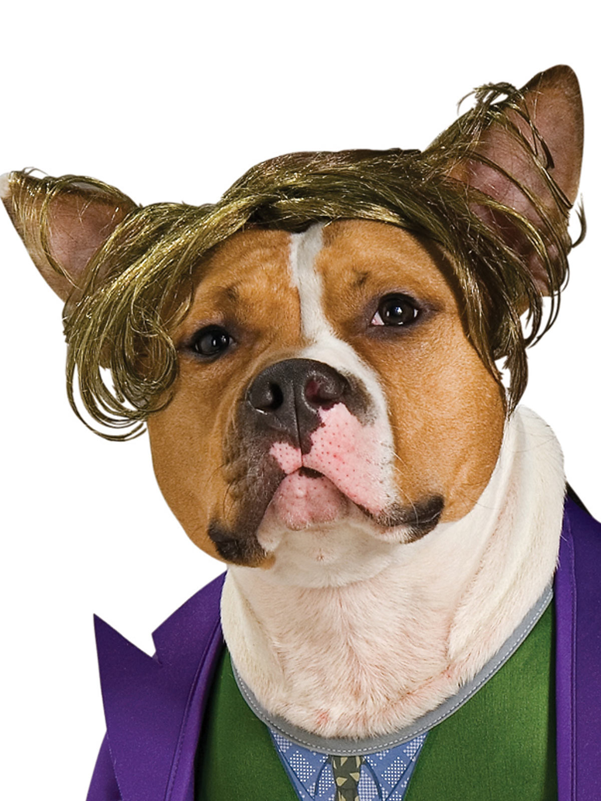 THE JOKER PET COSTUME - Image 2