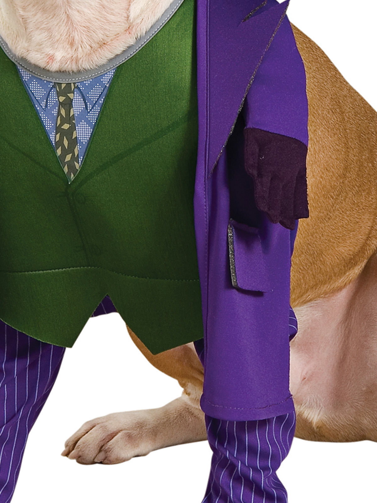 THE JOKER PET COSTUME - Image 3