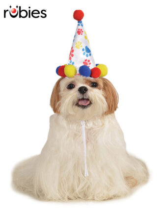 PAW PRINT BOY PET BIRTHDAY HAT ACCESSORY