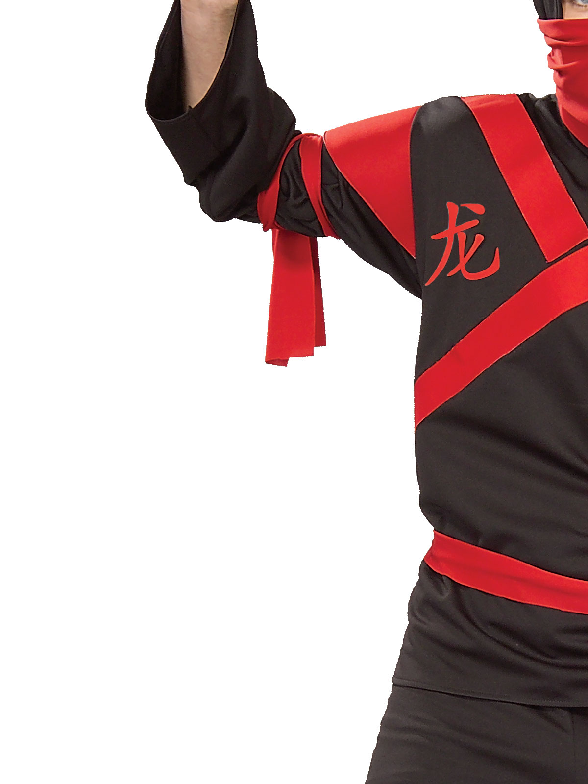 DRAGON NINJA WARRIOR COSTUME, ADULT - Image 3